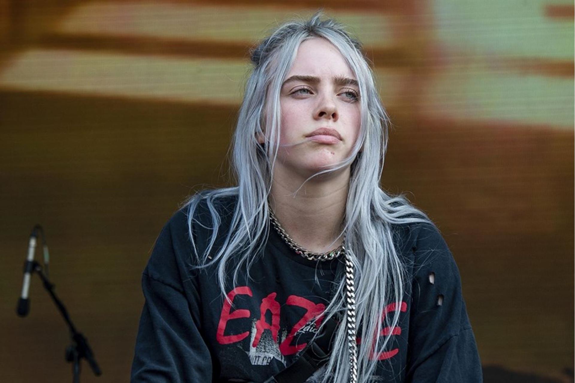 Где билли айлиш. Billy Eilish. Билли Айлиш 2022. Billie Eilish 2018. Билли Айлиш фото.